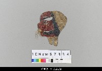 藏品(中國湖北皮影戲偶頭-淨)的圖片